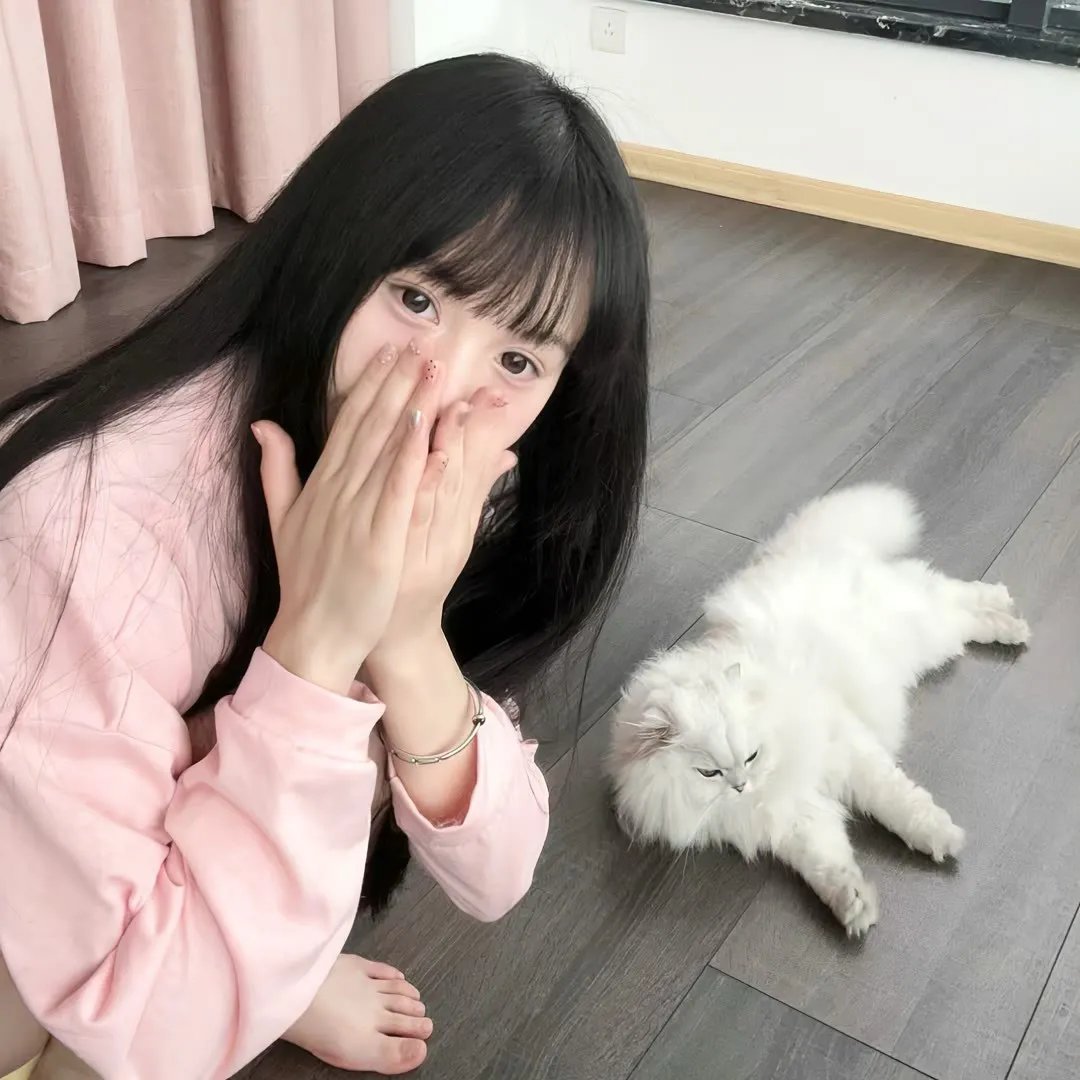 真实的较量 在线观看